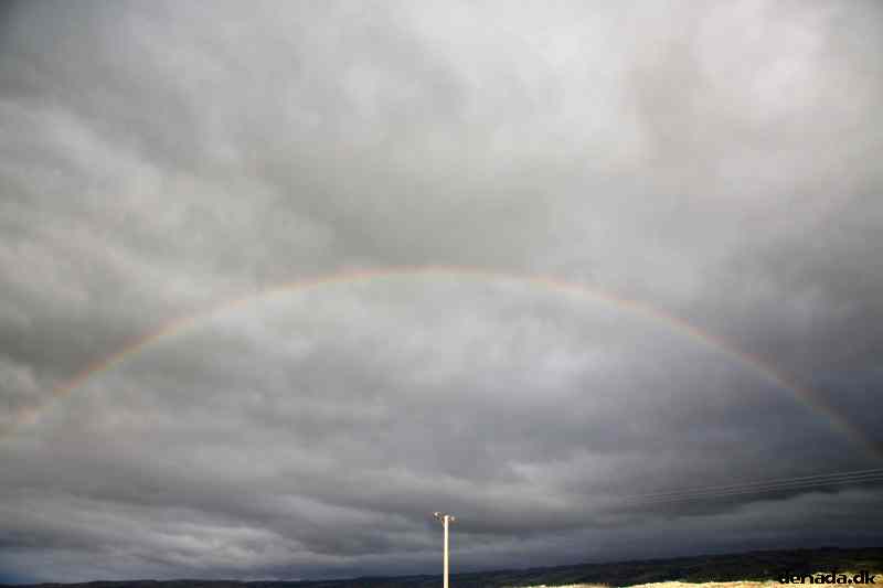 * Image 31