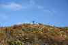 20121019_1709320m.jpg - 2012:10:19 17:09:32