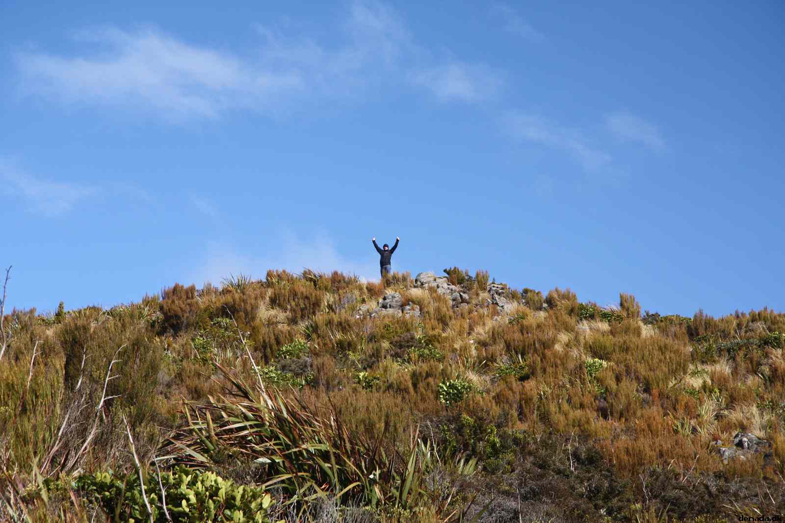 * Image 4