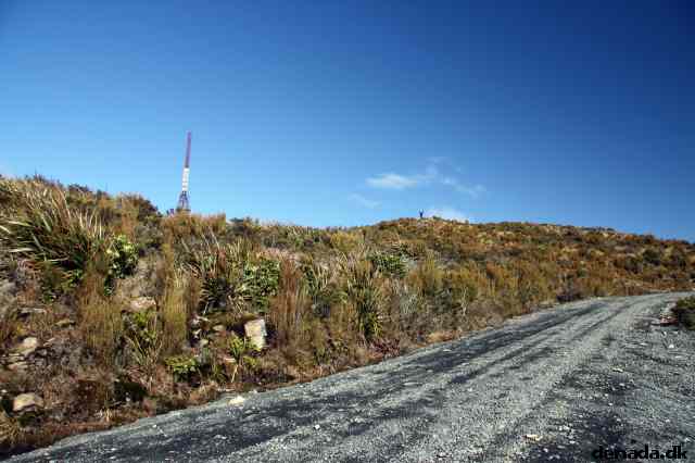 * Image 3