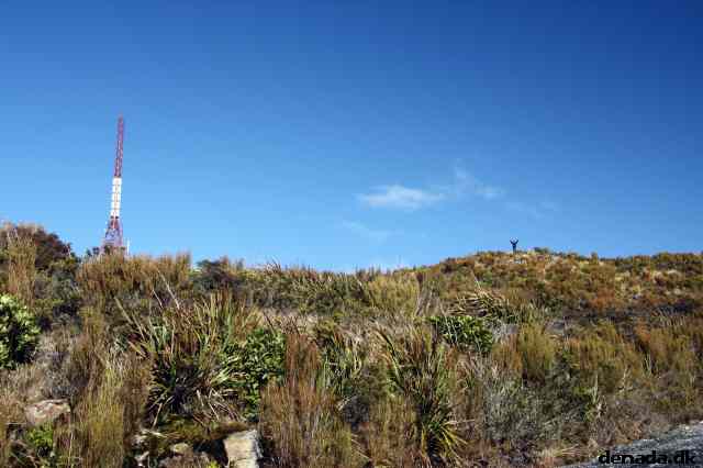 * Image 5