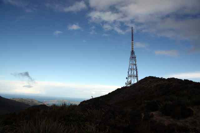 * Image 6