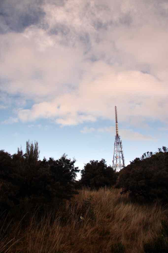 * Image 7