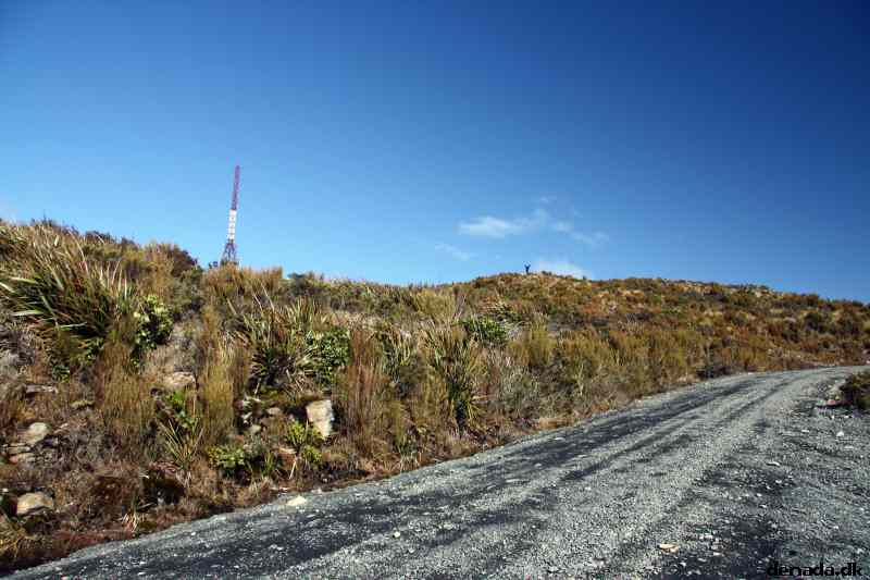 * Image 3