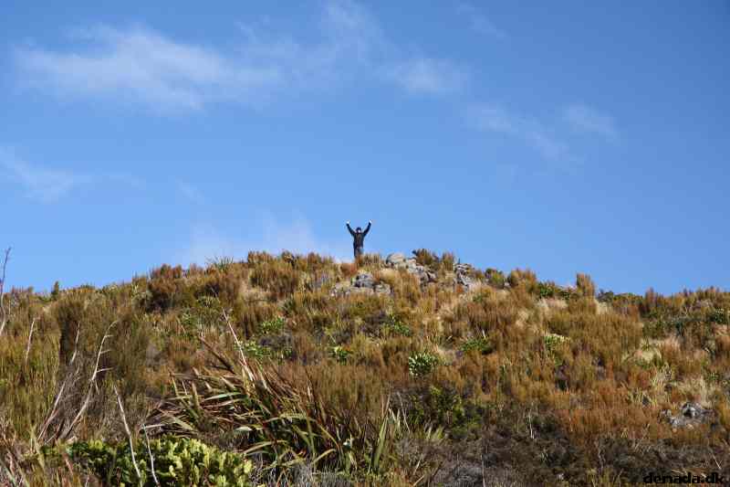 * Image 4
