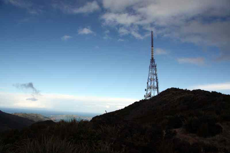 * Image 6