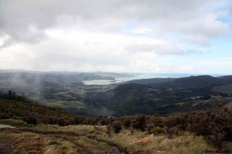* Image 8