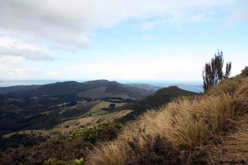 * Image 9