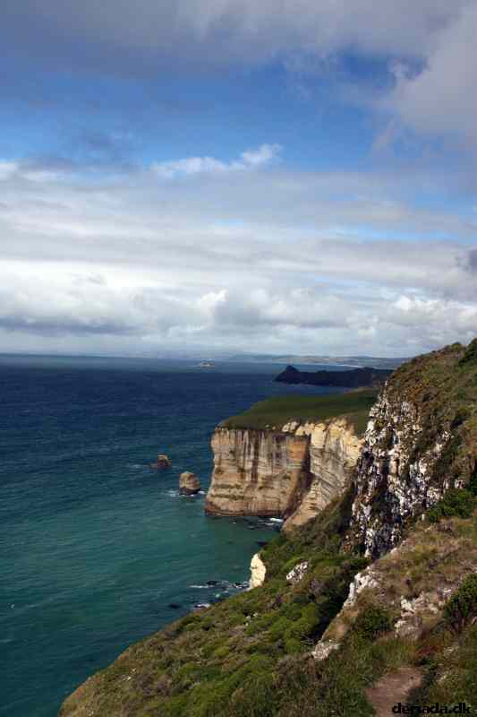 * Image 1