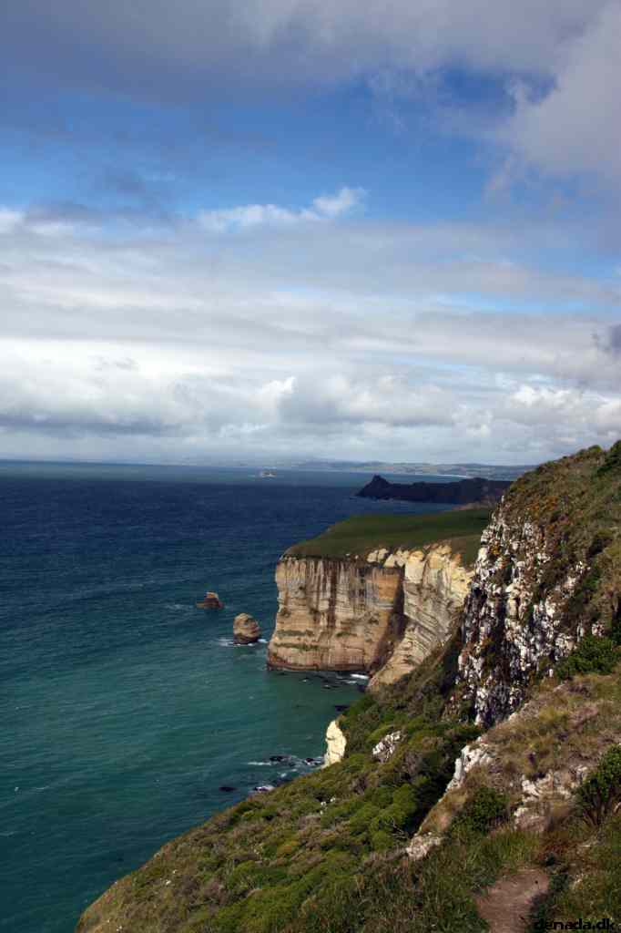 * Image 1