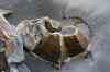 20121022_1104470m.jpg - 2012:10:22 11:04:47
