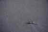 20121022_1105350m.jpg - 2012:10:22 11:05:35
