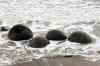 20121022_1110110m.jpg - 2012:10:22 11:10:11