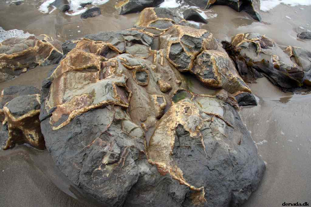 * Image 2