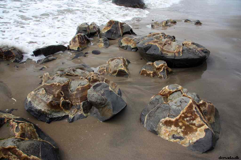 * Image 4