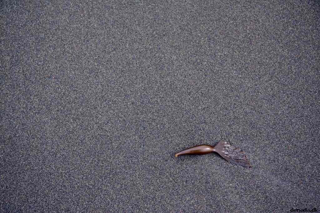 * Image 17