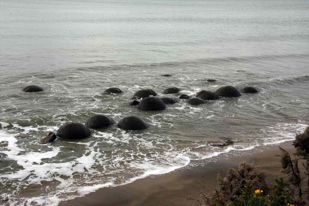 * Image 19