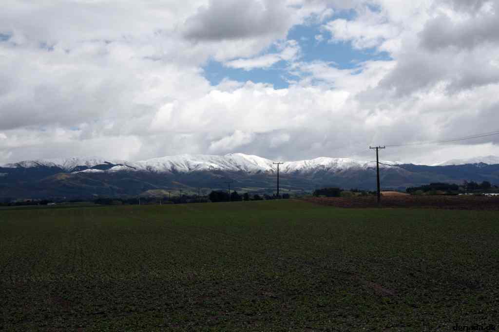* Image 25