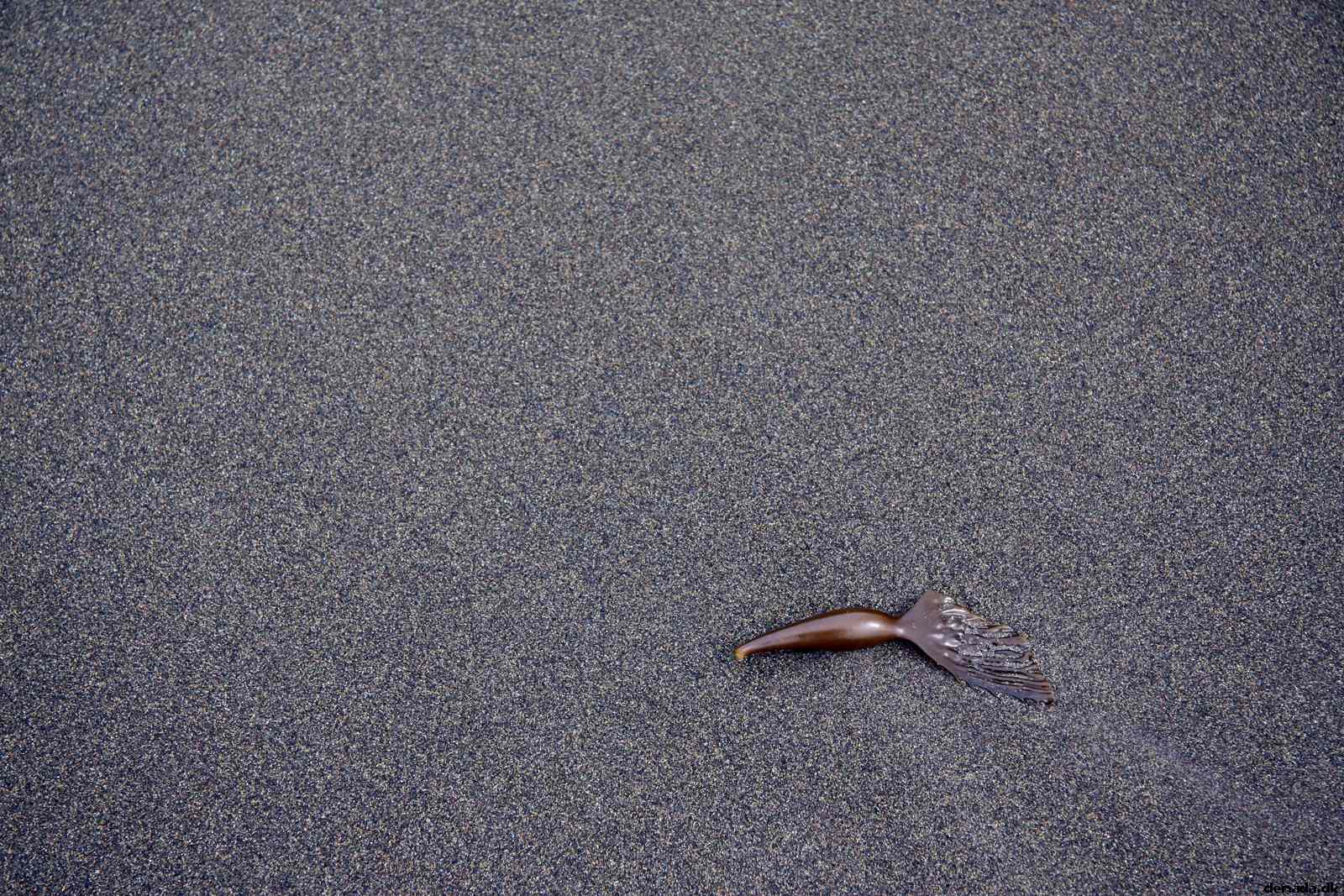 * Image 17