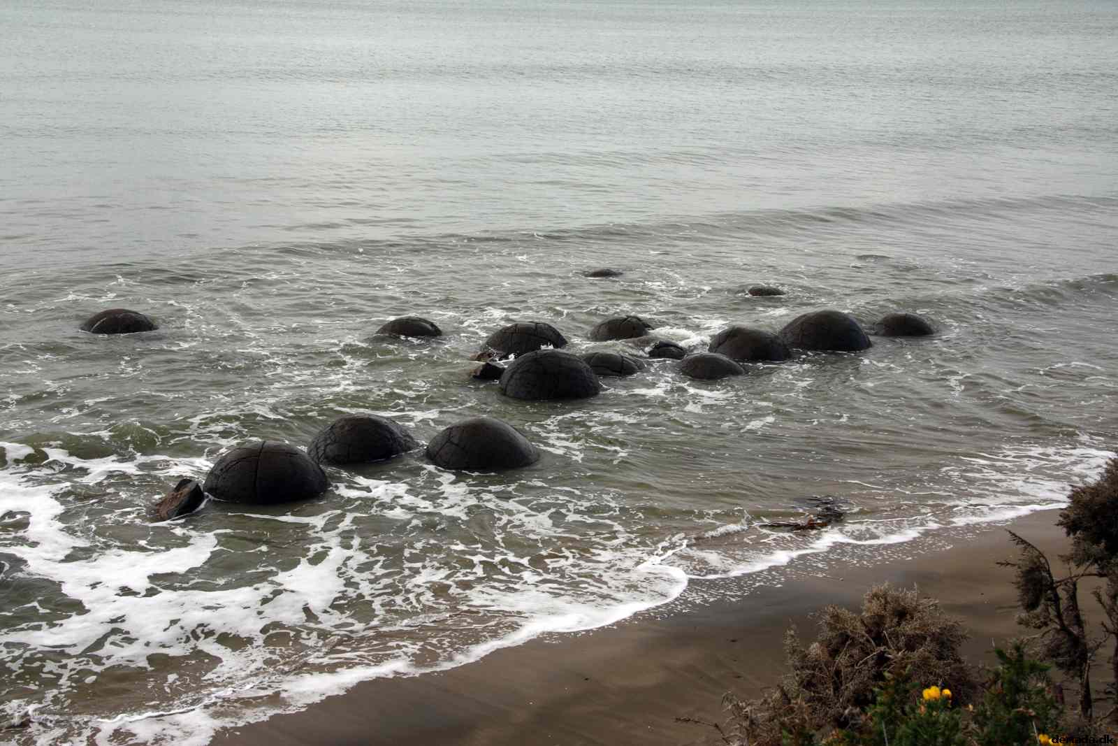 * Image 19