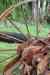 20121022_1117110m.jpg - 2012:10:22 11:17:11
