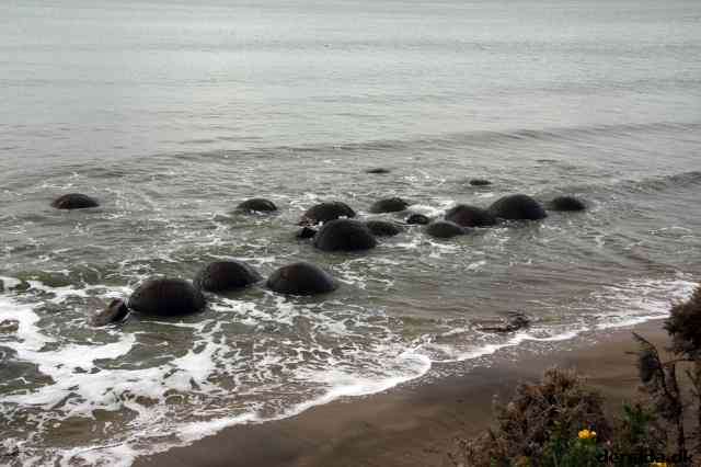 * Image 19