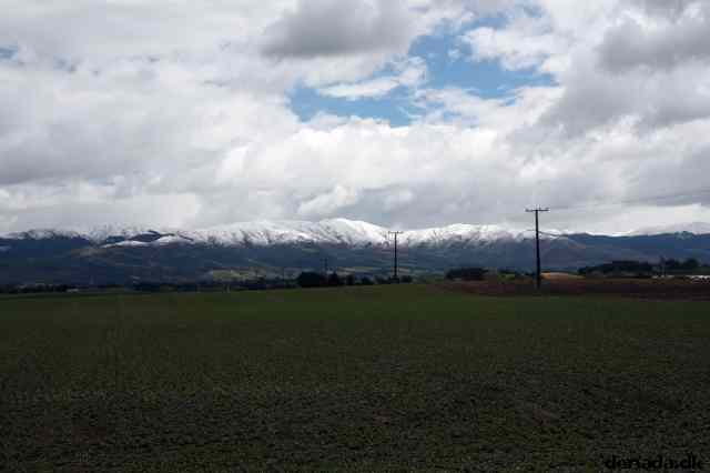 * Image 25