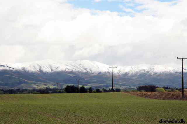 * Image 26