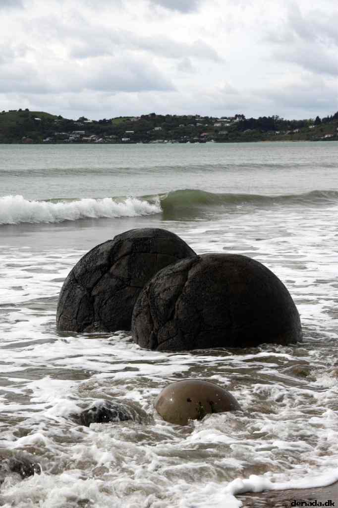* Image 15