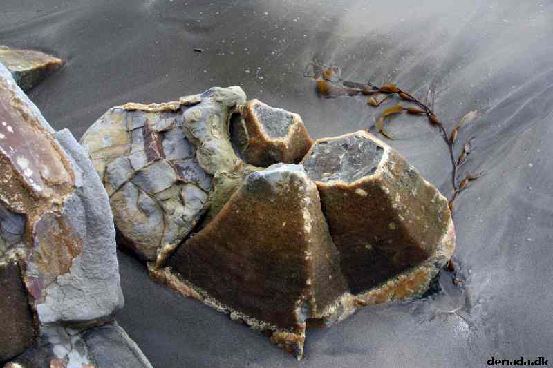 * Image 16