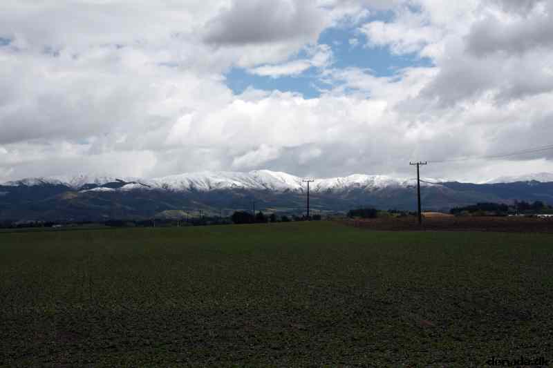 * Image 25