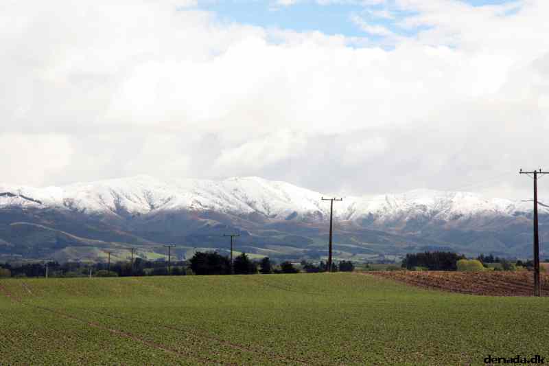 * Image 26