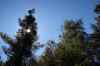 20121023_1412420m.jpg - 2012:10:23 14:12:42