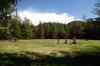 20121023_1413390m.jpg - 2012:10:23 14:13:39
