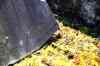20121023_1420190m.jpg - 2012:10:23 14:20:19