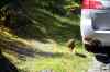 20121023_1514180m.jpg - 2012:10:23 15:14:18