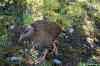 20121023_1515170m.jpg - 2012:10:23 15:15:17