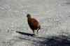 20121023_1515441m.jpg - 2012:10:23 15:15:44