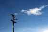20121023_1611180m.jpg - 2012:10:23 16:11:18