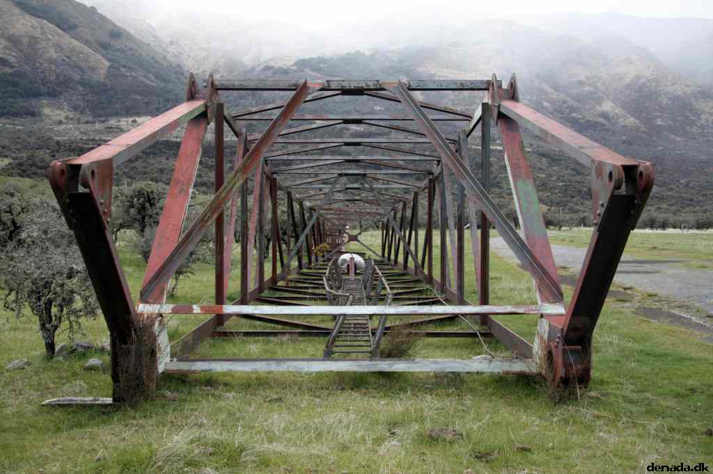 * Image 19