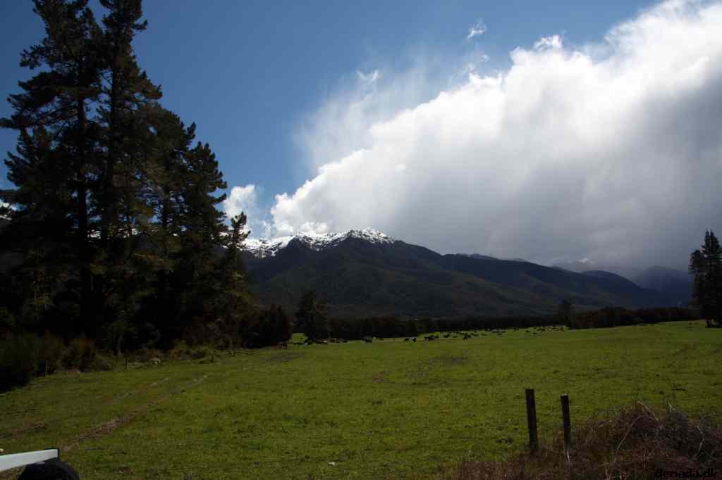 * Image 25