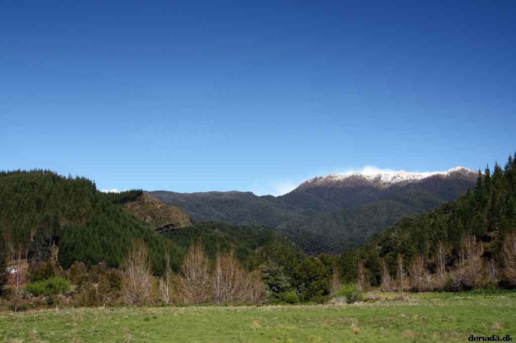 * Image 38