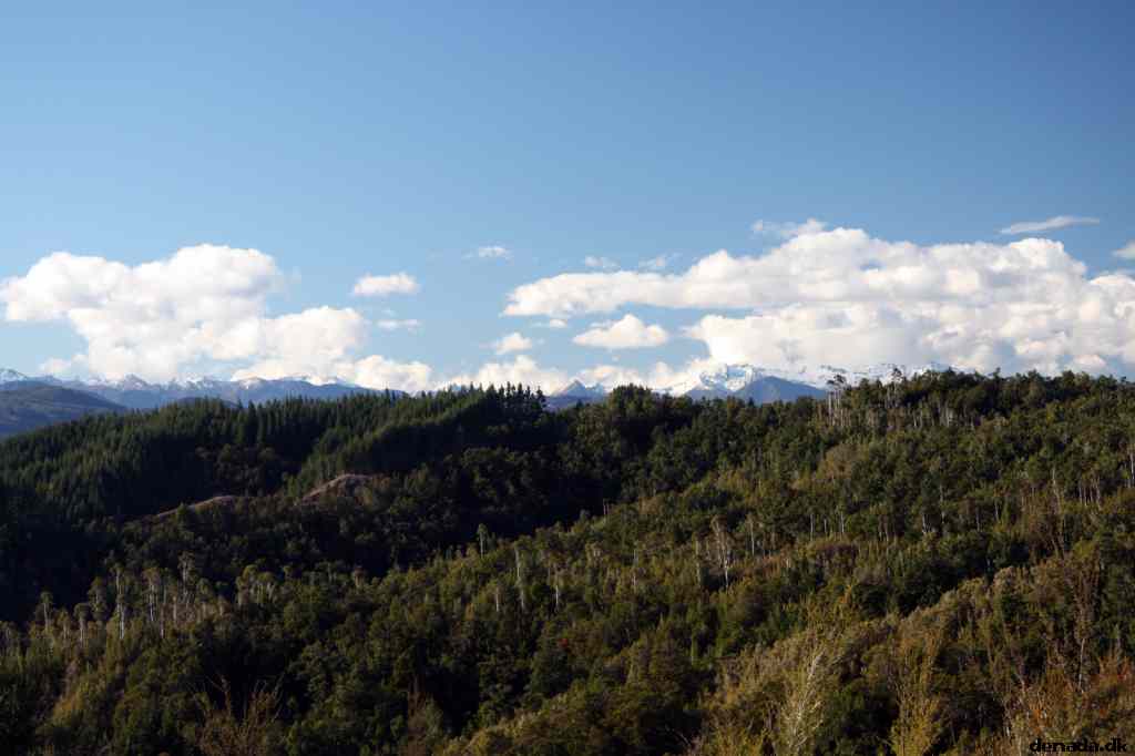 * Image 77