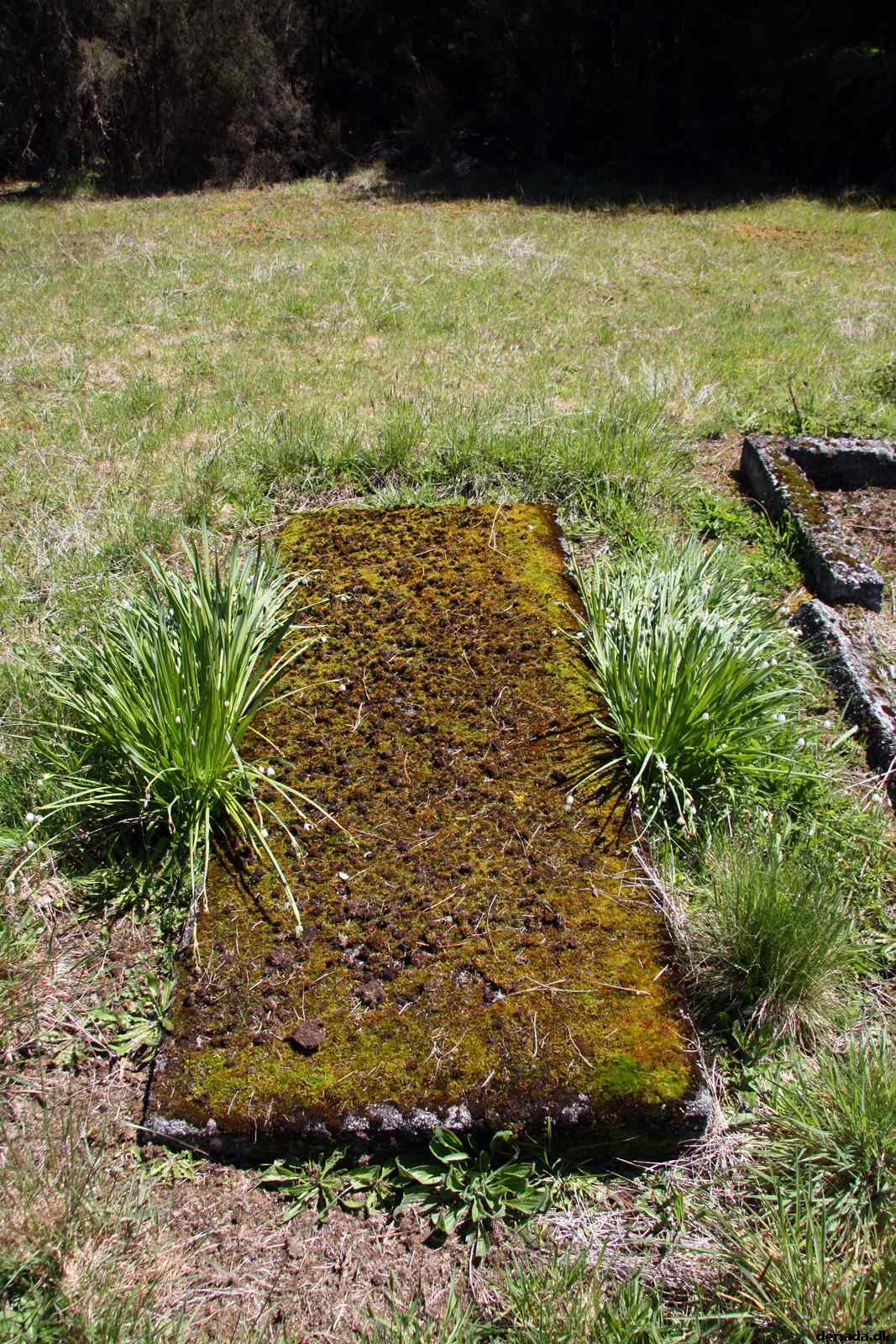 * Image 31