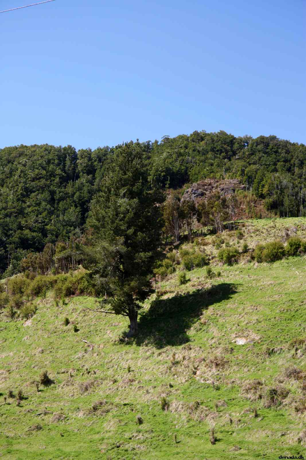 * Image 36