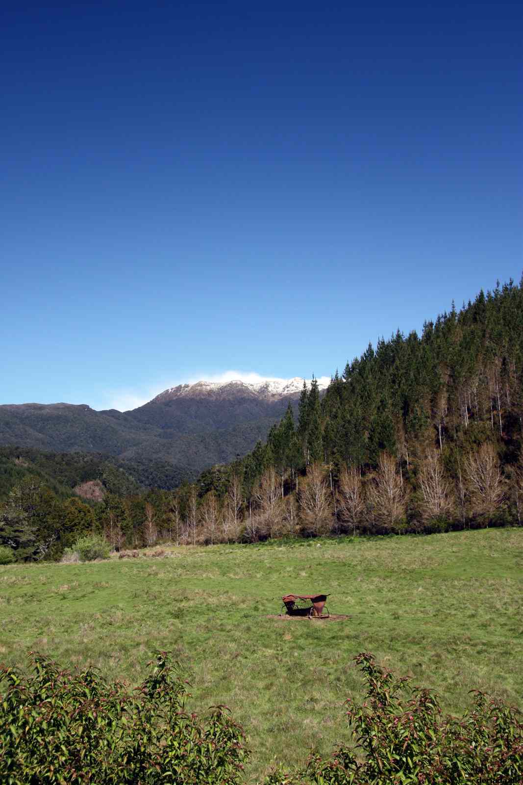 * Image 39