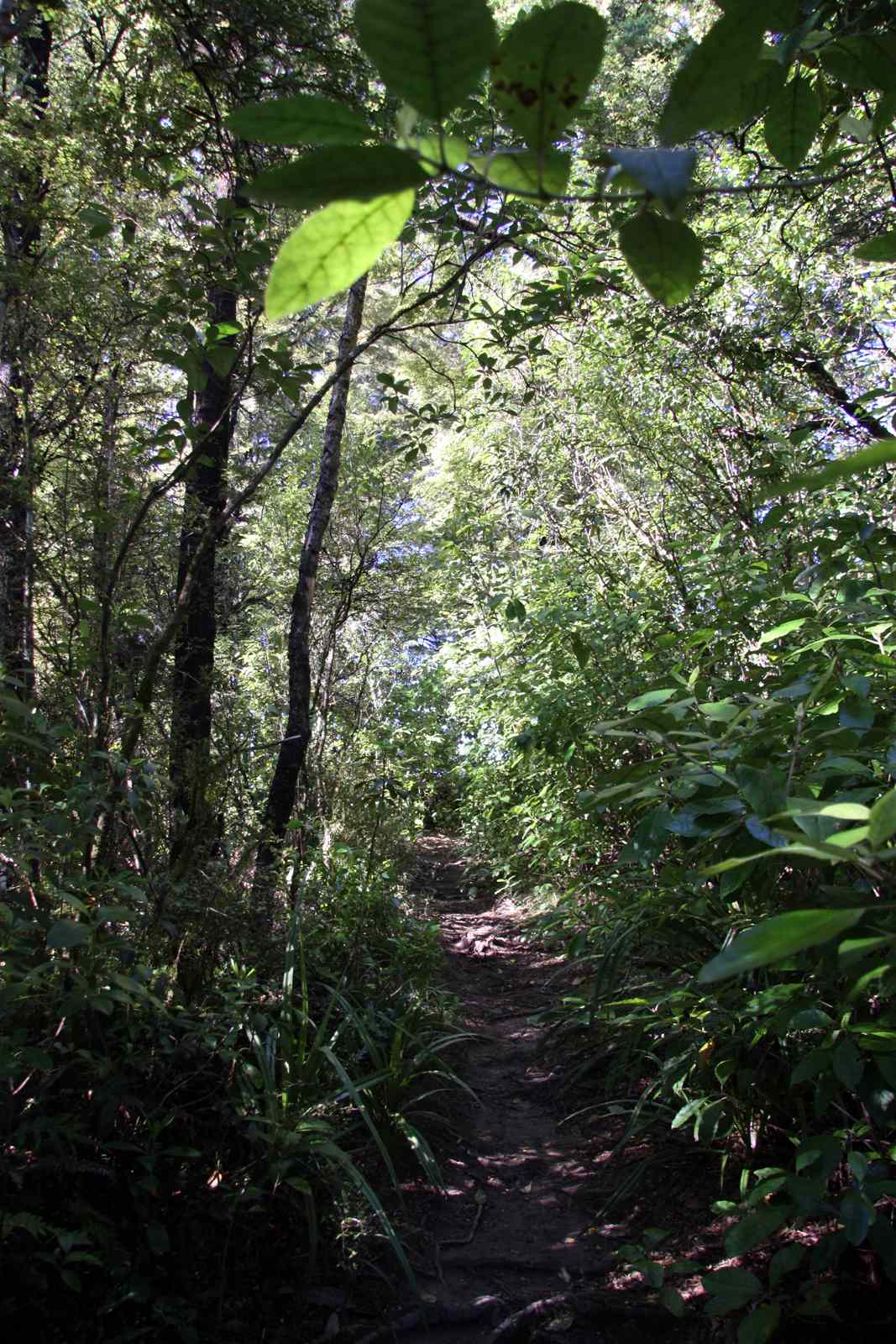 * Image 73