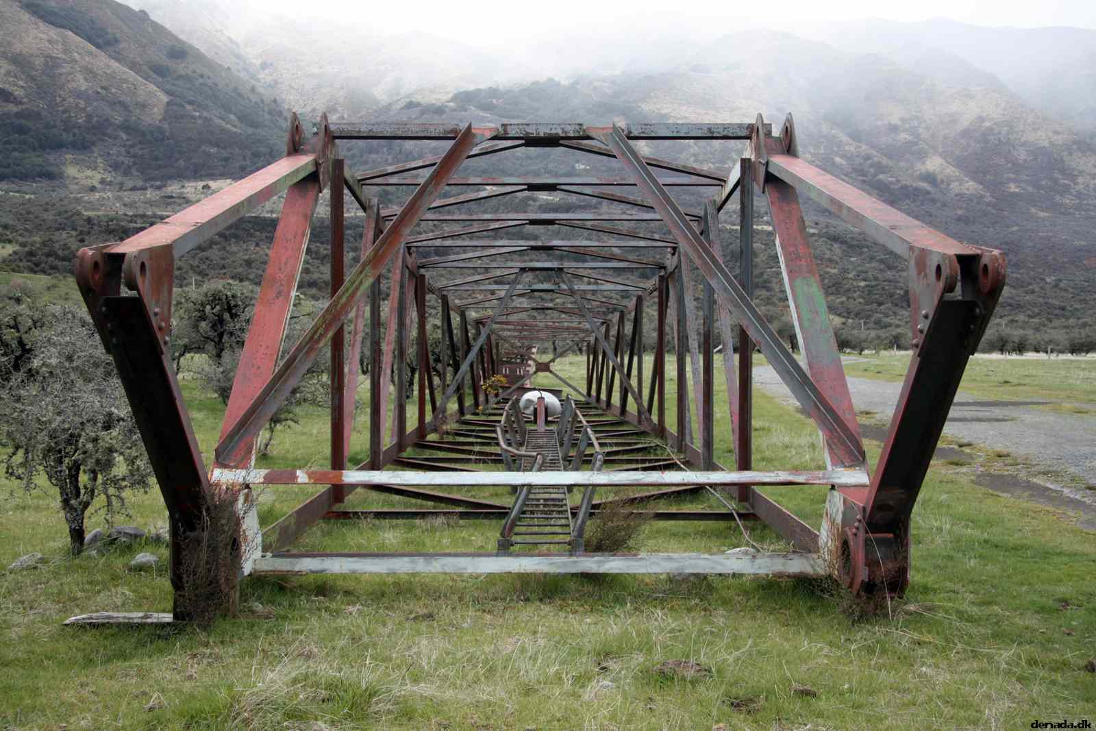 * Image 19