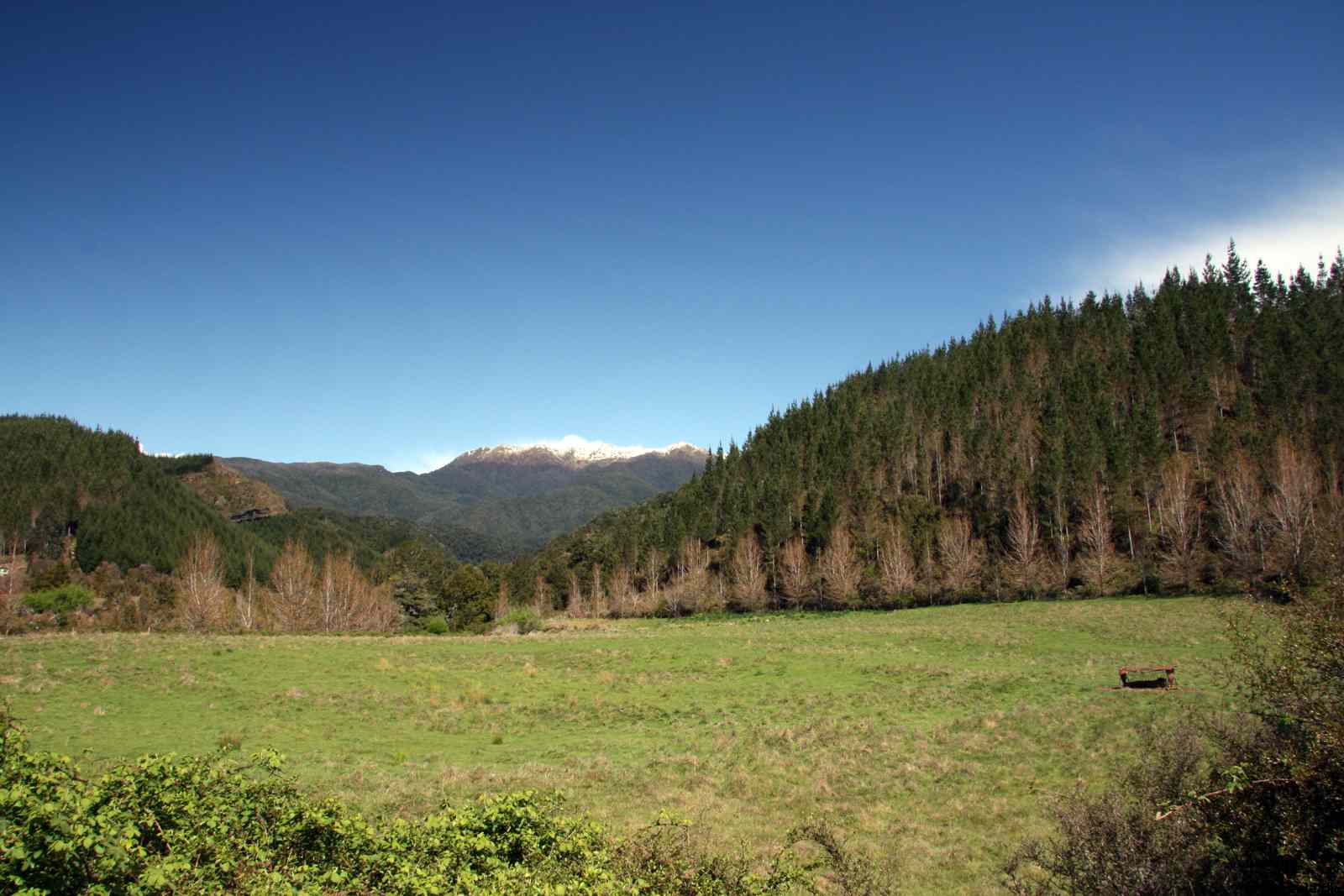 * Image 37