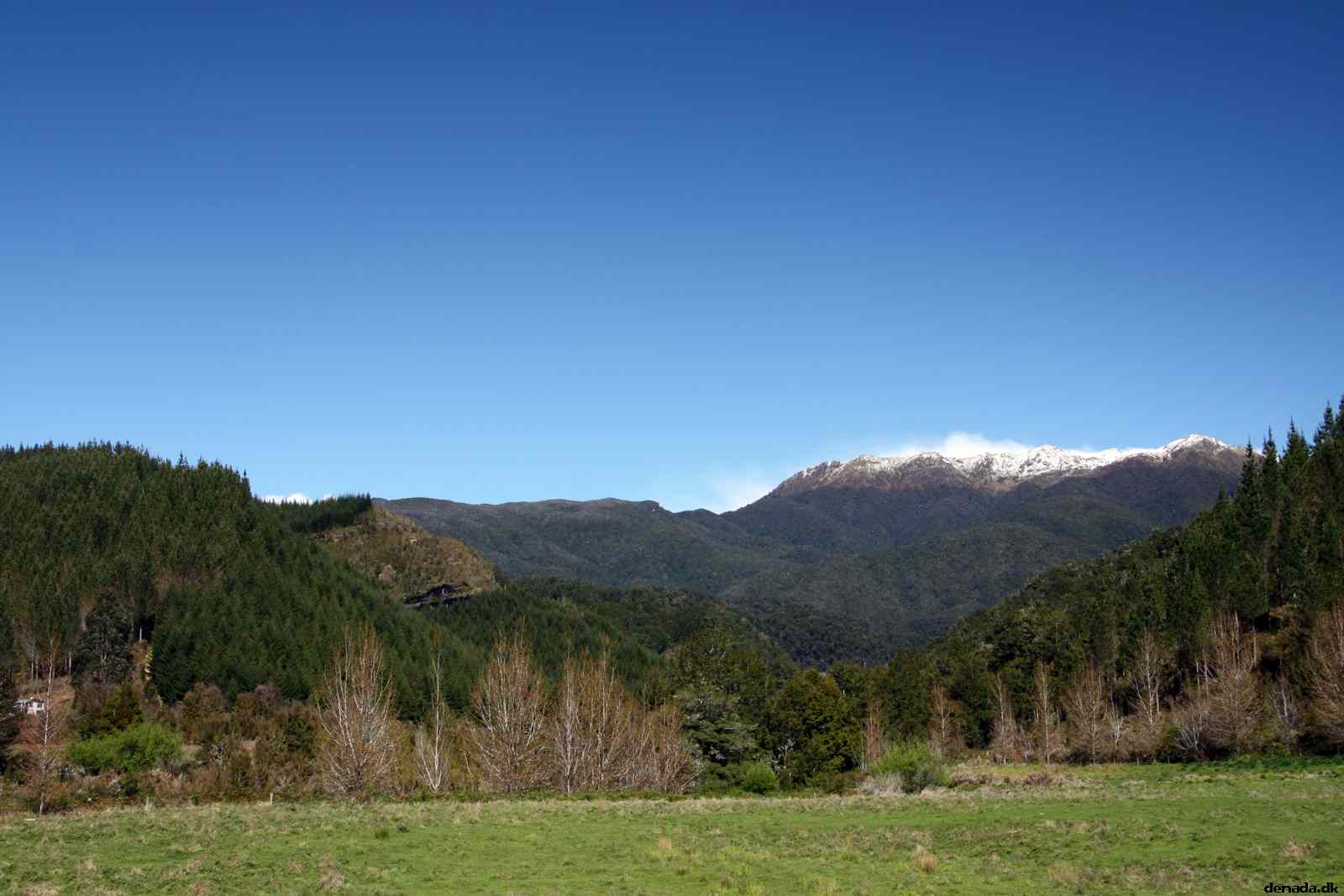 * Image 38